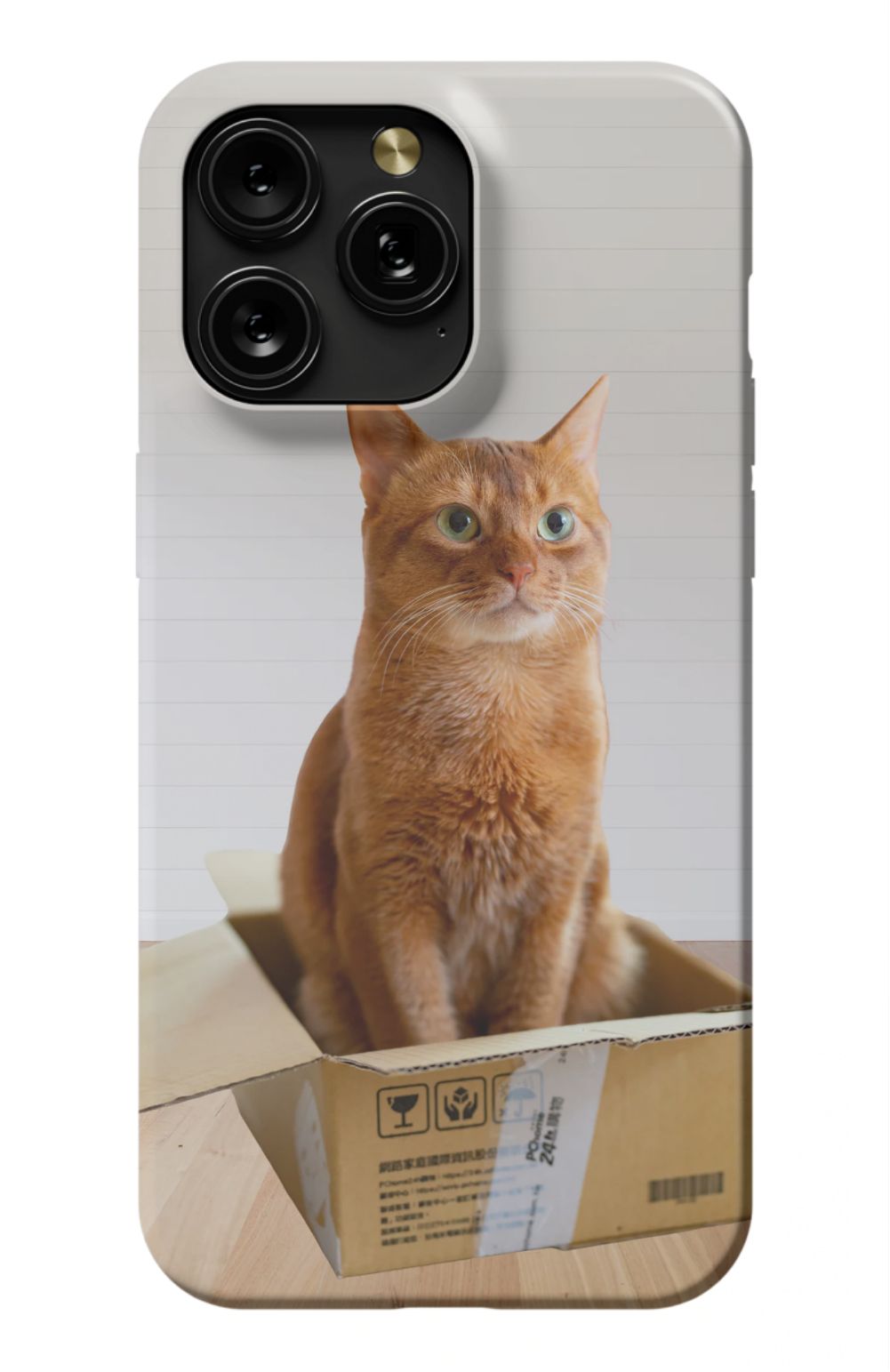 Cat Out Of The Box Design - Case
