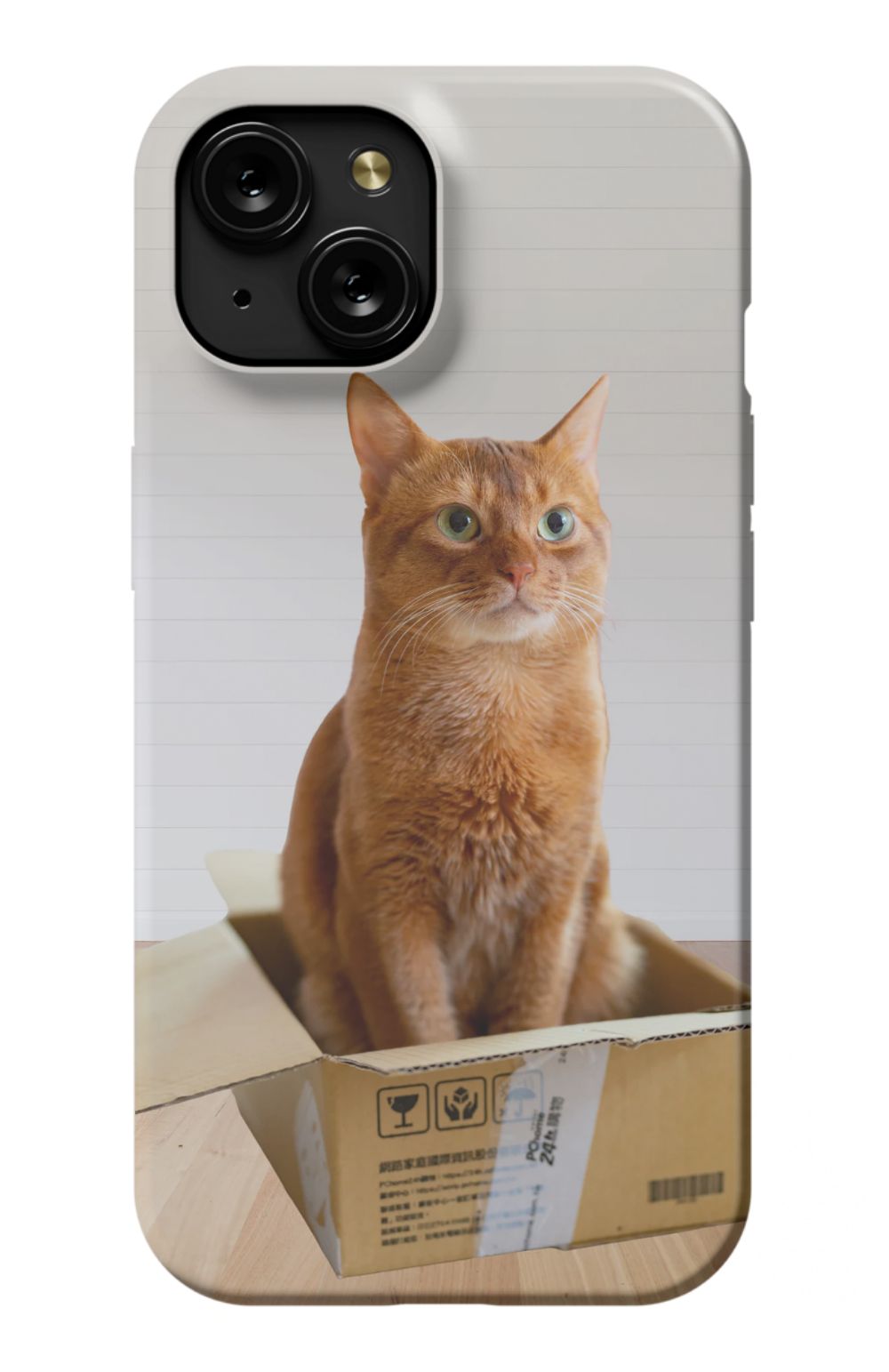 Cat Out Of The Box Design - Case