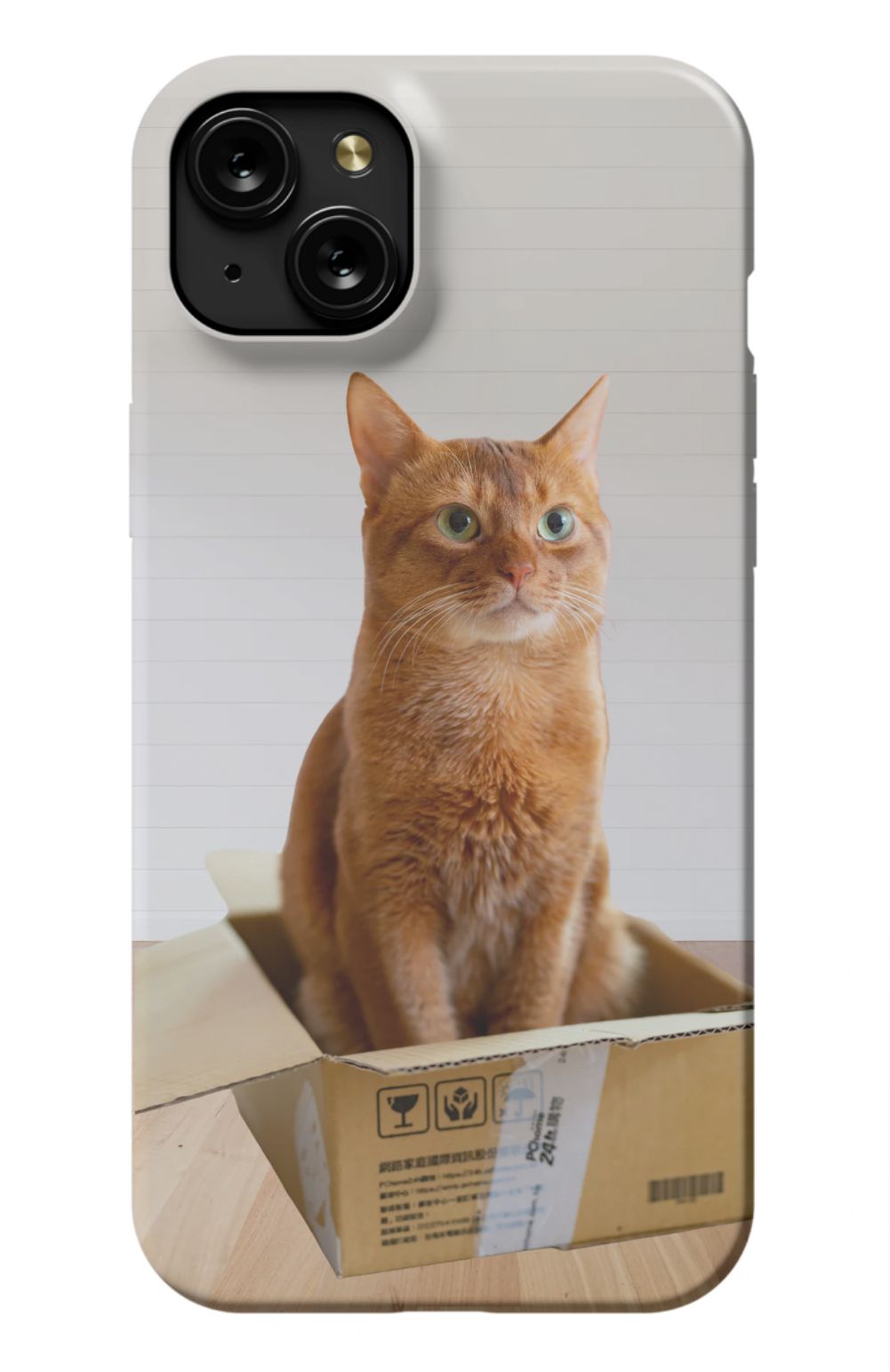 Cat Out Of The Box Design - Case