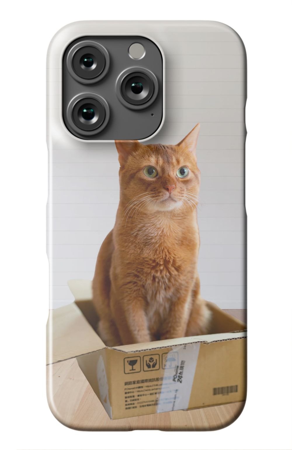 Cat Out Of The Box Design - Case