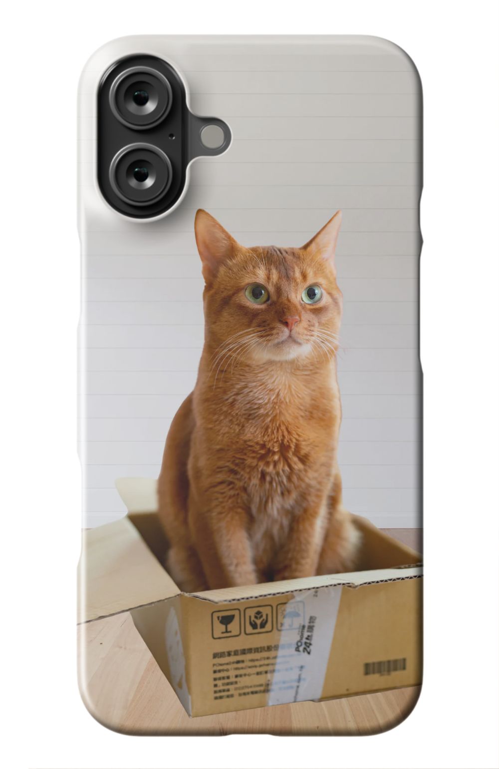 Cat Out Of The Box Design - Case