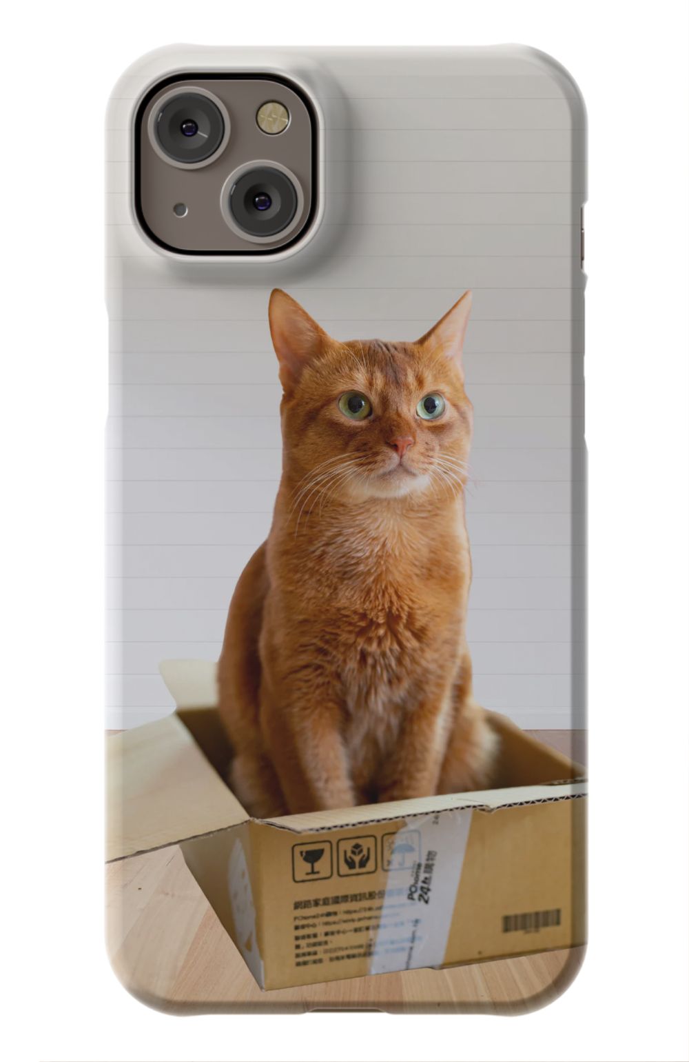 Cat Out Of The Box Design - Case