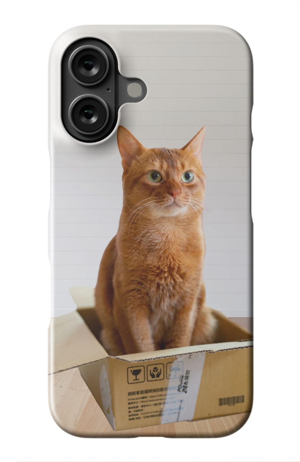 Cat Out Of The Box Design - Case