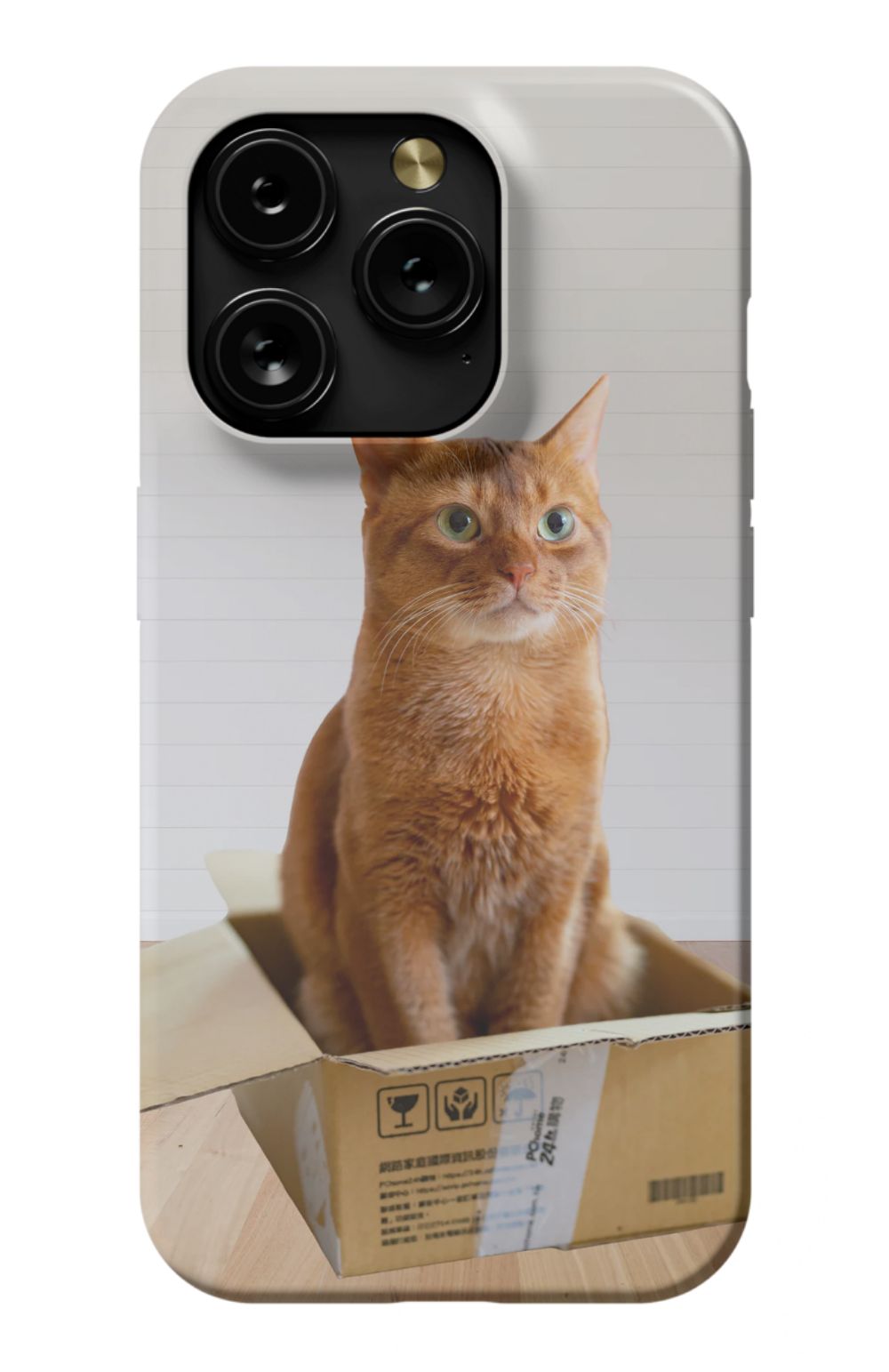Cat Out Of The Box Design - Case