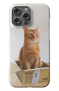 Cat Out Of The Box Design - Case